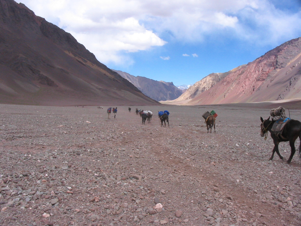 ACONCAGUA — photo 8