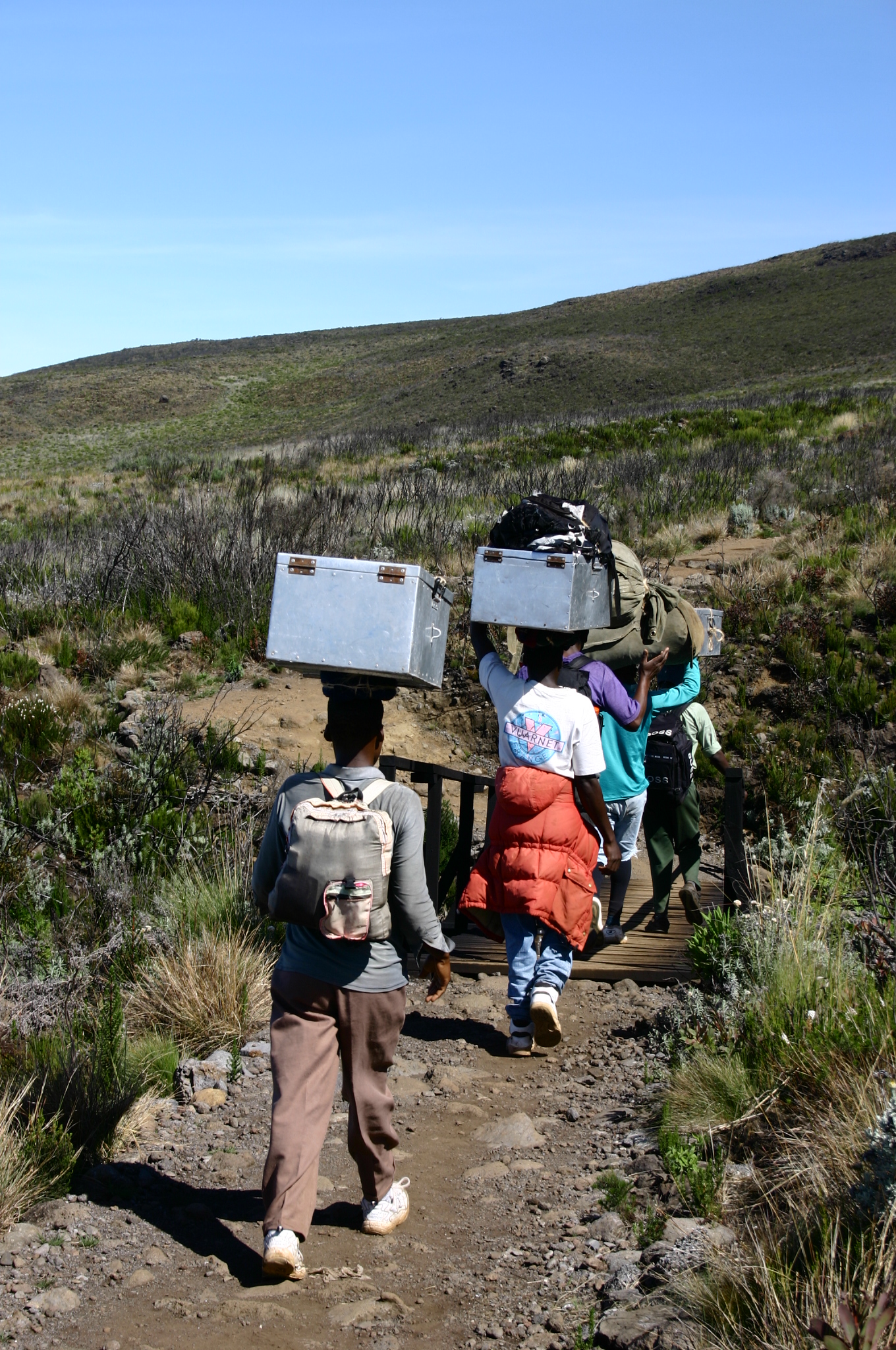KILIMANDJARO — photo 8