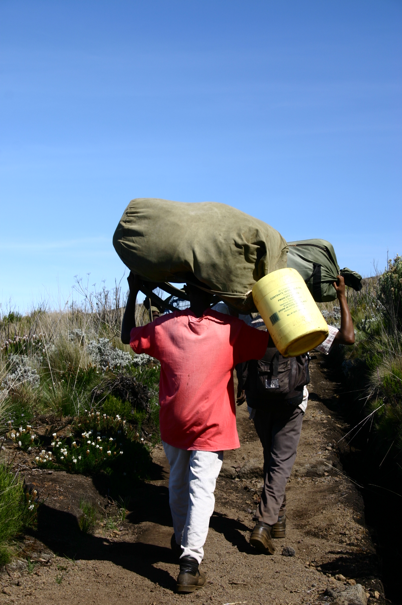 KILIMANDJARO — photo 9