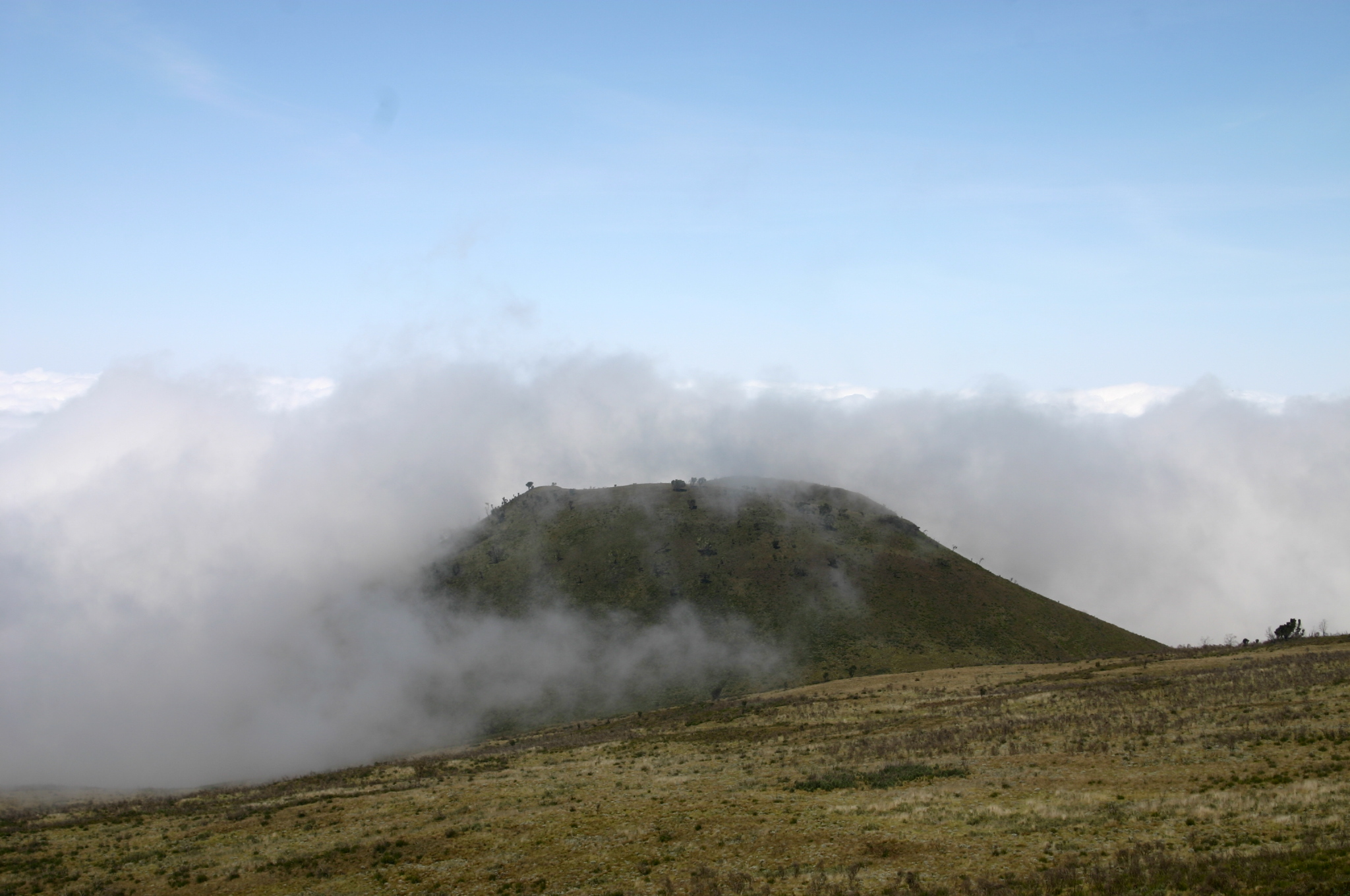 KILIMANDJARO — photo 12