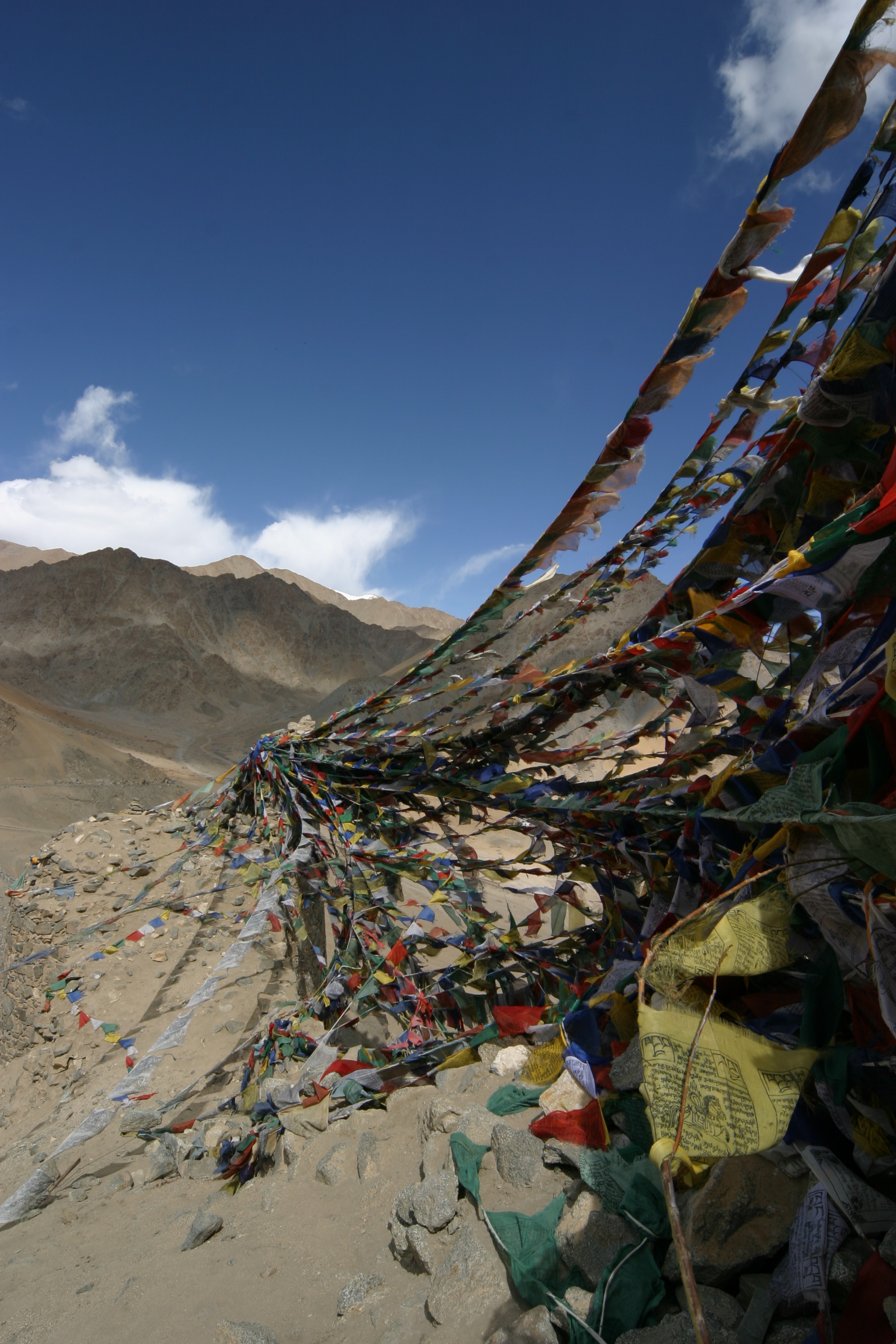 STOCK KANGRI — photo 11