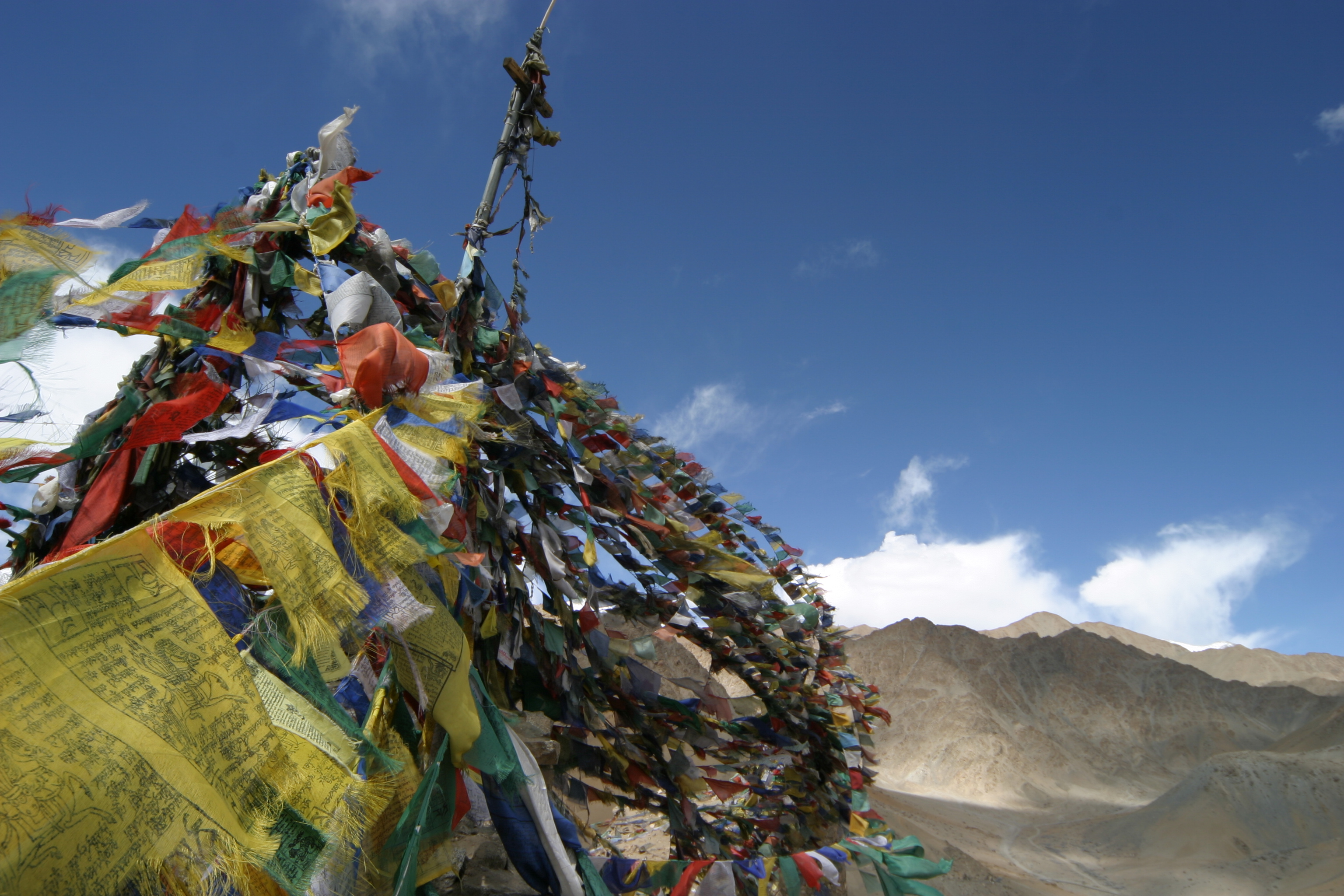 STOCK KANGRI — photo 14
